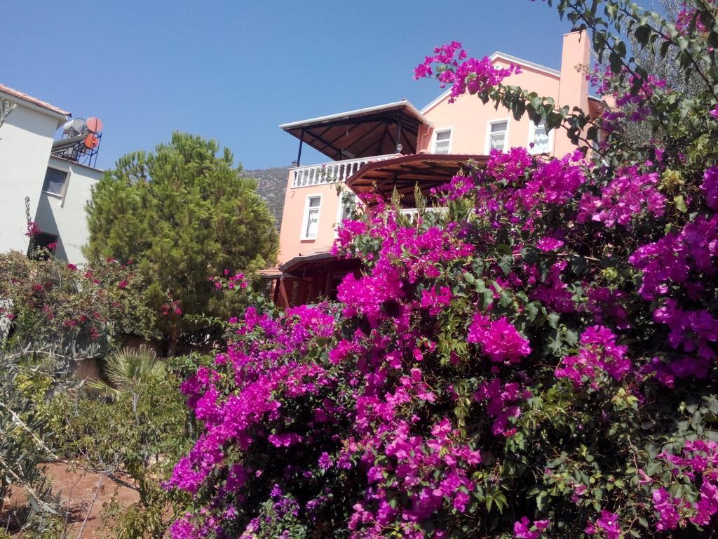 Villa Koknar Pension Κας Δωμάτιο φωτογραφία