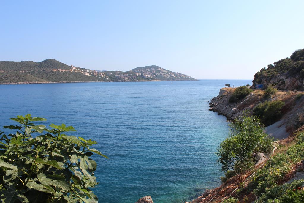 Villa Koknar Pension Κας Δωμάτιο φωτογραφία