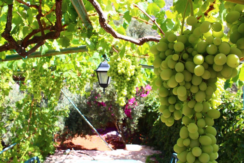 Villa Koknar Pension Κας Εξωτερικό φωτογραφία
