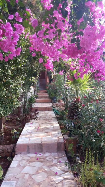 Villa Koknar Pension Κας Εξωτερικό φωτογραφία